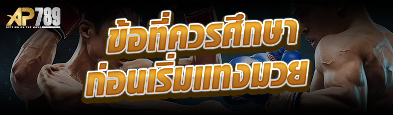 ข้อที่ควรศึกษาก่อนเริ่มแทงมวย