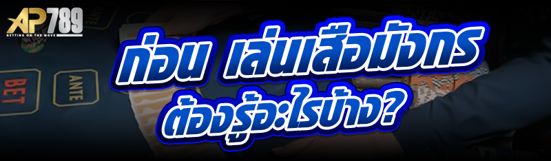 ก่อน เล่นเสือมังกร ต้องรู้อะไรบ้าง?